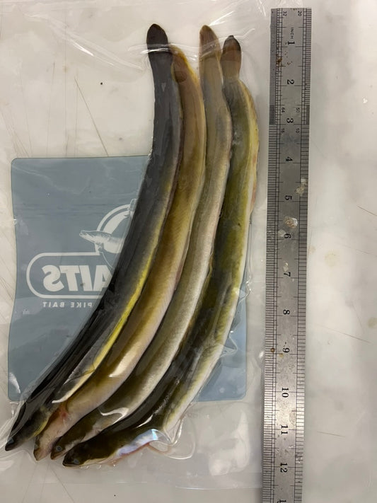EELS WHOLE (EELS1)