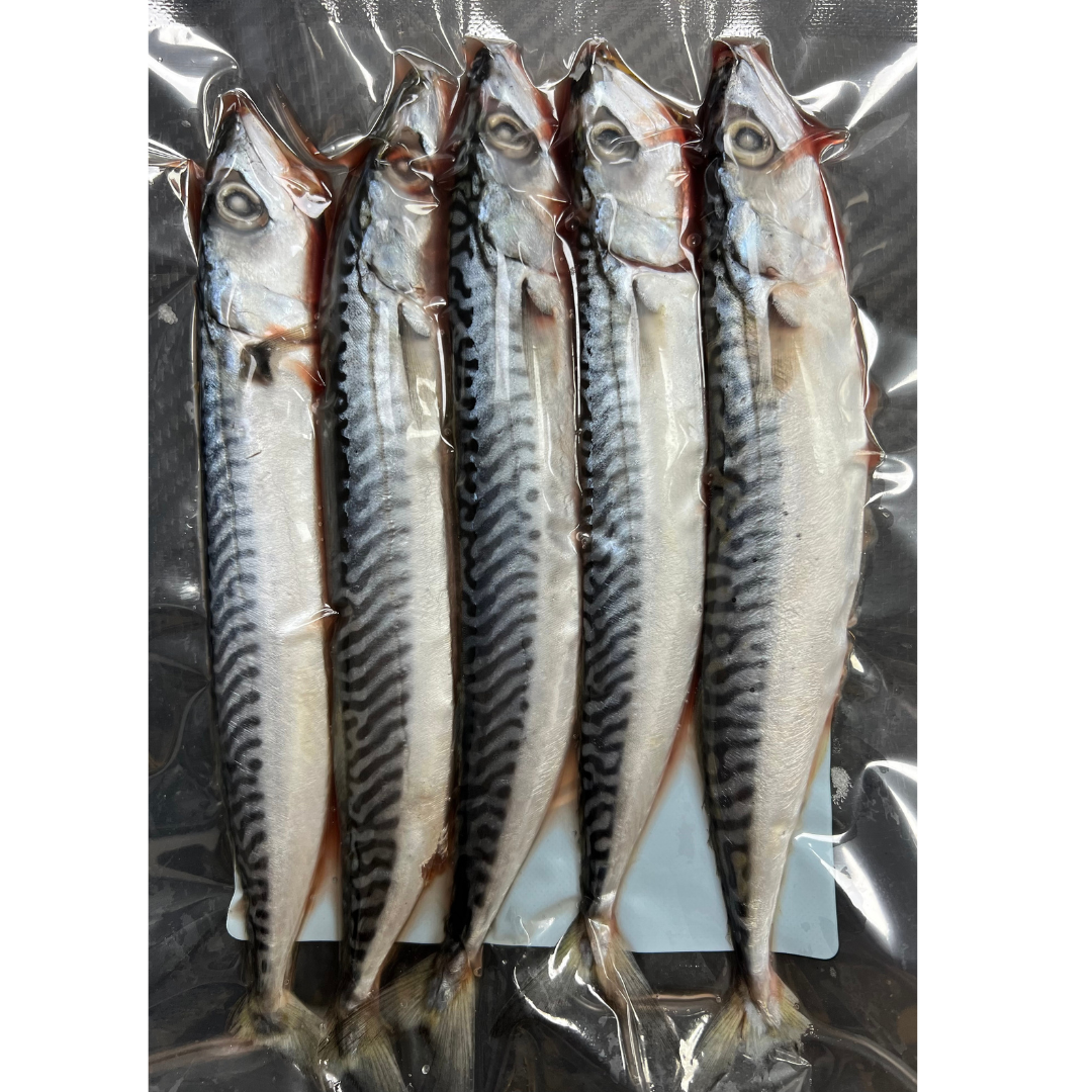 5x Fresh Small Mackerel (MAC5S)