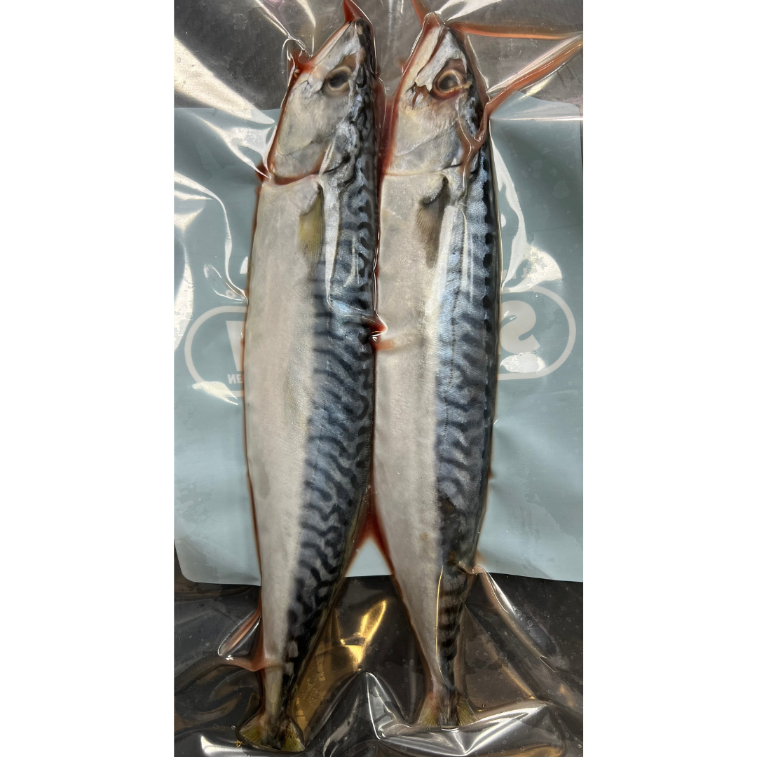 2x Fresh Medium Mackerel (MAC2M)