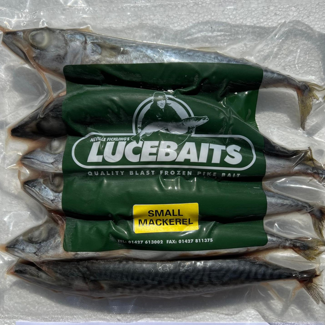 MACKEREL SMALL (MAC1)