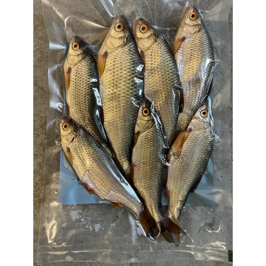 'Special' CRS1's, Coarse Fish 5-6 Roach per pack at 5-8inches in length.