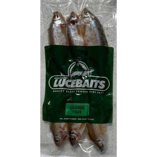 COARSE FISH SMALL PACK (CRS3).