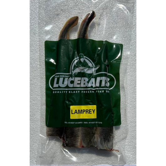 LAMPREY 2x WHOLE FISH PER PACK (LAMP2)