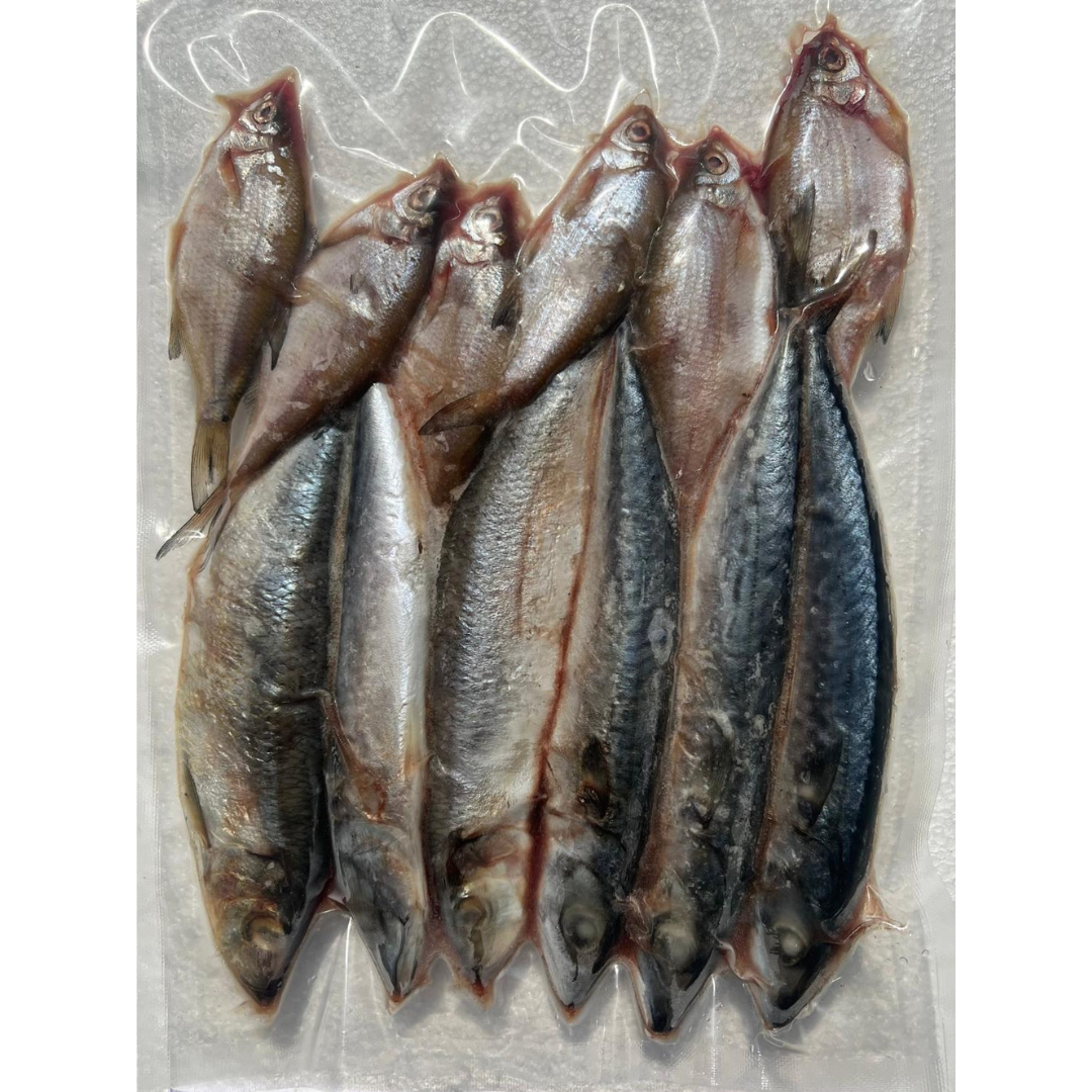 PIKE PACK (PPK1)