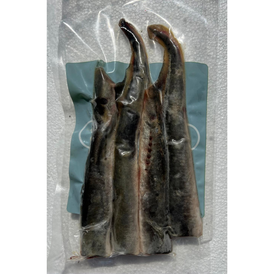 LAMPREY 2x WHOLE FISH PER PACK (LAMP2)