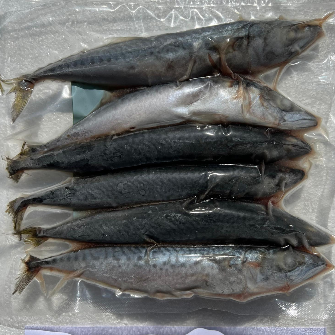 MACKEREL SMALL (MAC1)