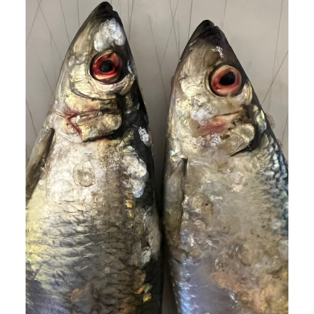 2x Whole Fresh Norfolk Herring (HER2)