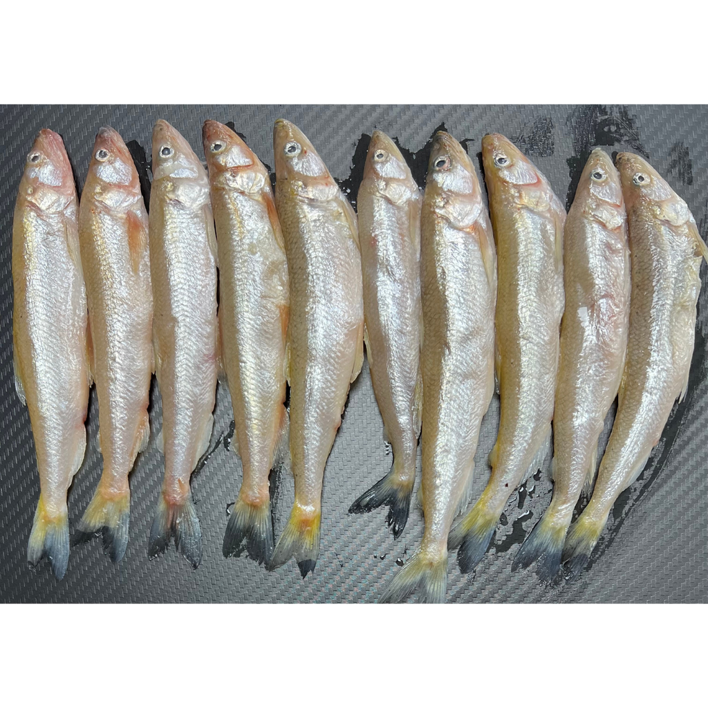 10x Standard Smelt  (SM10)