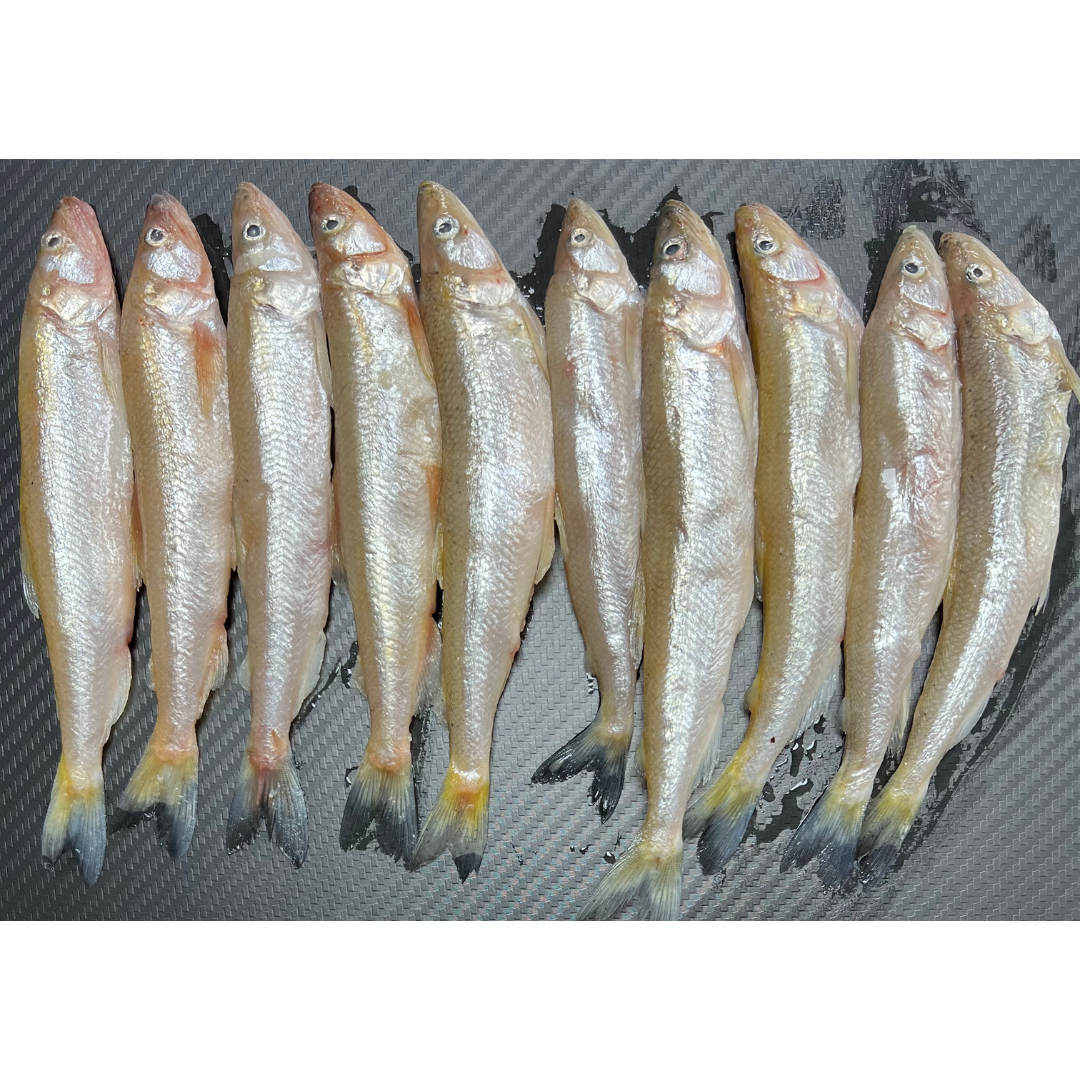 10x Standard Smelt  (SM10)