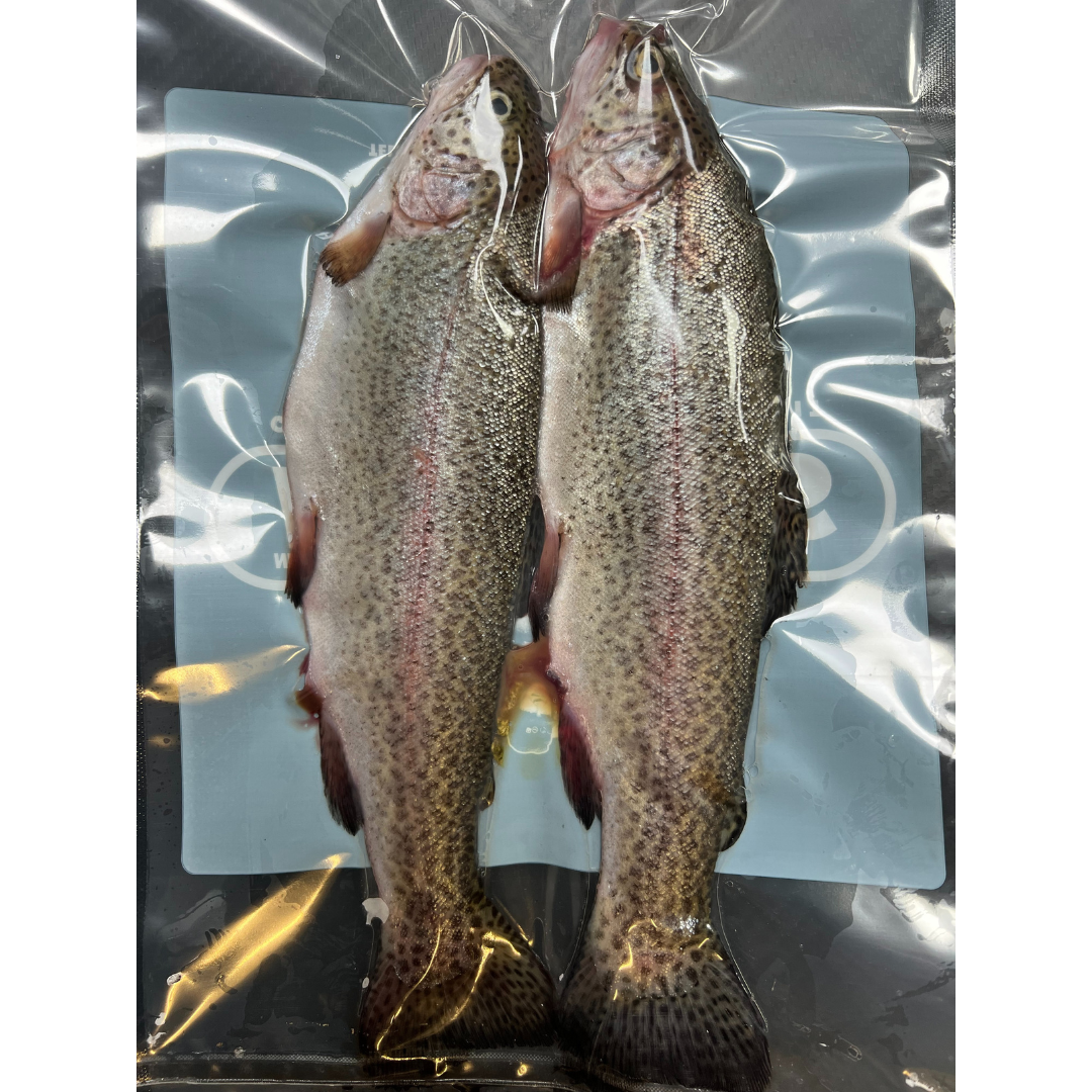 2x fresh Brown Trout (BTR2)