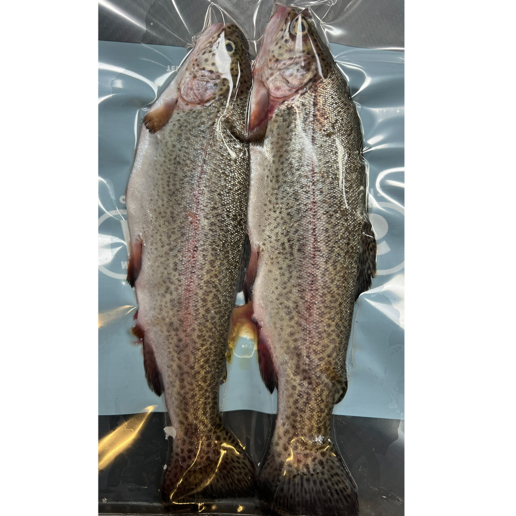 2x Fresh Rainbow Trout (RTR2)