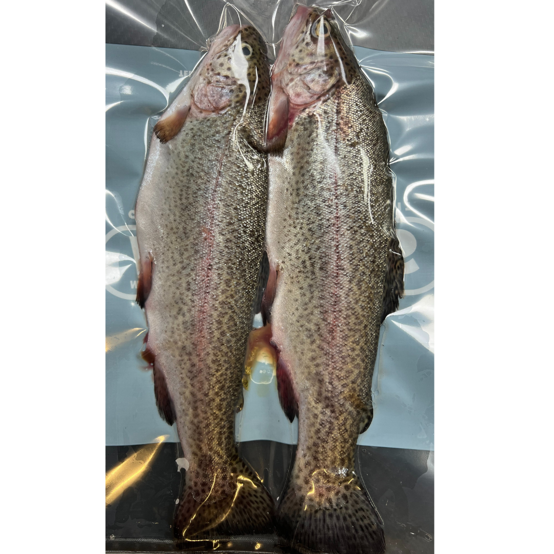 2x Fresh Rainbow Trout (RTR2)