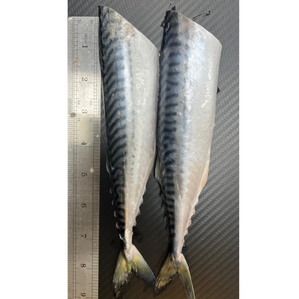 2x Half Mackerel (MAC2H)