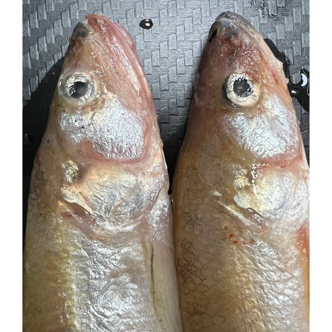 4x Standard Smelt (SM4)