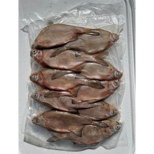COARSE FISH 4-6oz FISH (BLKCRS1).