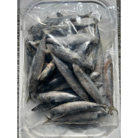 MACKEREL SMALL (BLKSMAC)