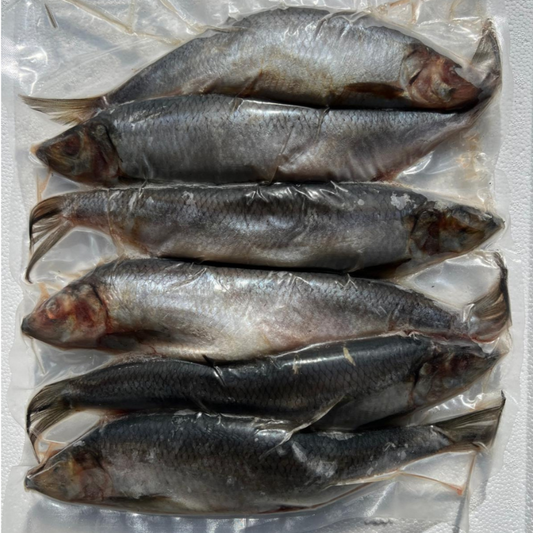HERRING (BLKHER)