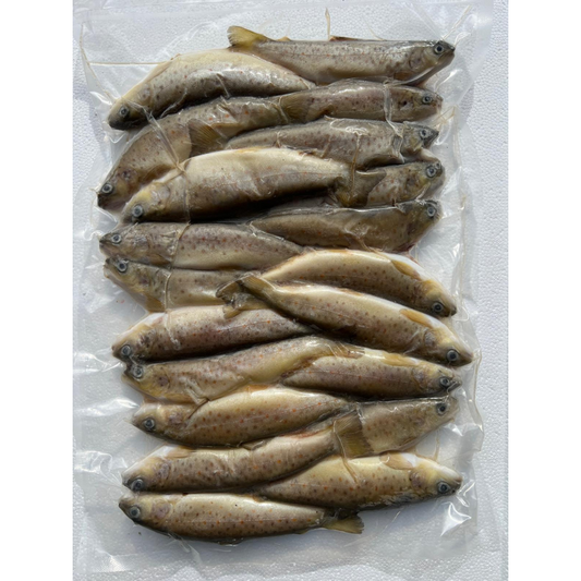 BROWN/RAINBOW TROUT (BLKB/RAINT)