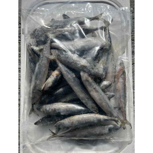 MACKEREL LARGE FULL (BLKLMAC)