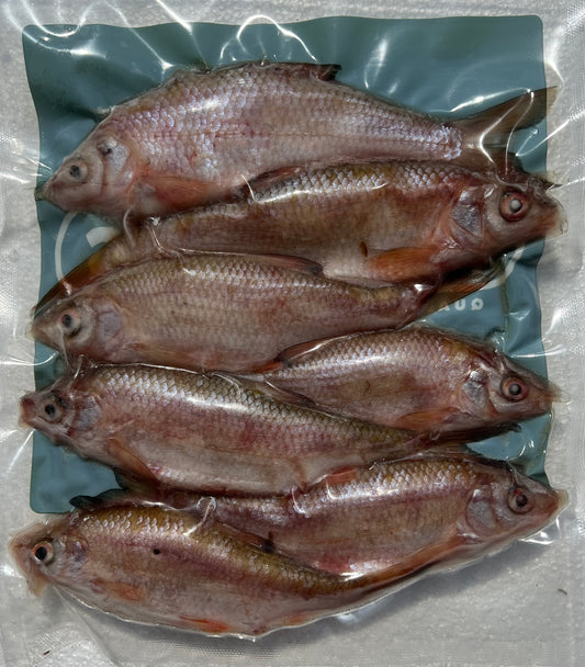 COARSE FISH 2-3oz FISH (BLKCRS2)
