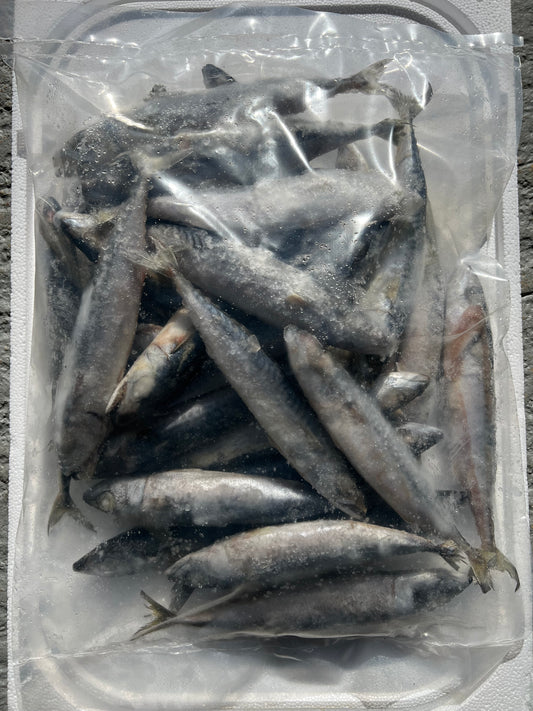 SARDINES (BLKSAR)