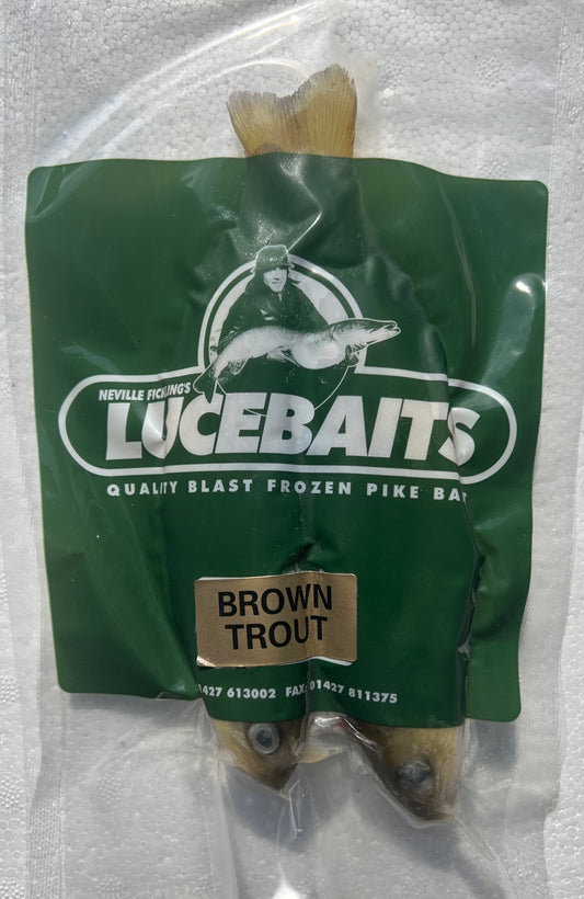 BROWN TROUT SMALL PACK (BTR2)