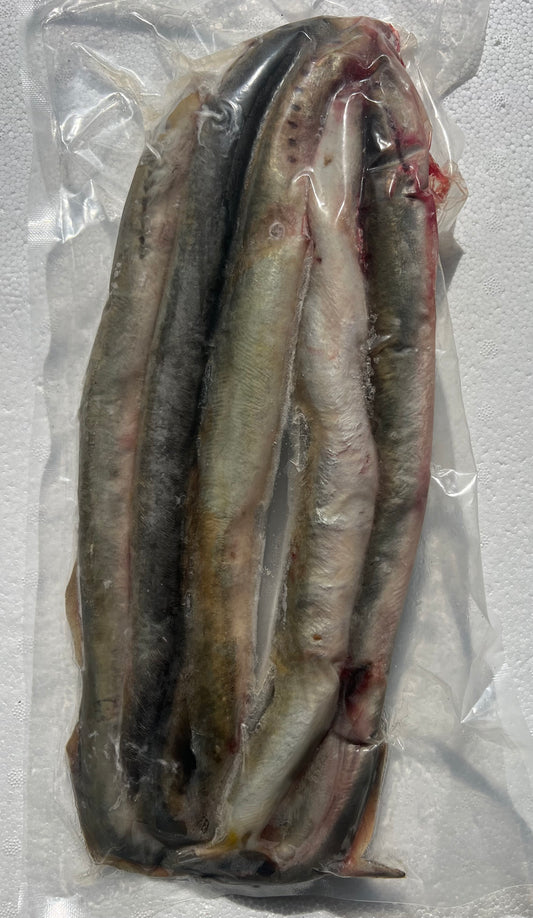 LAMPREY WHOLE (LAMP1)
