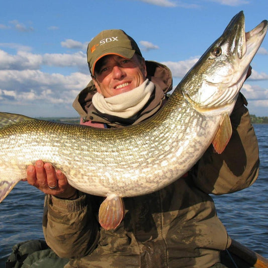 CHEW TWENTY CAUGHT ON LUCEBAITS SMELT.