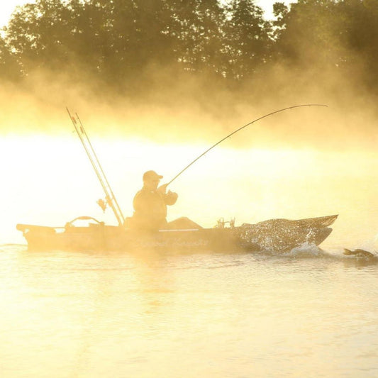 LUCEBAITS ACTION!