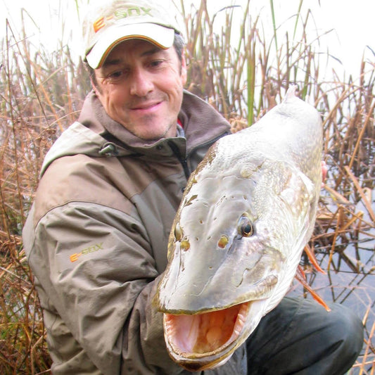HEAD OF A 31lb FISH CAUGHT OVER LUCEBAITS PREBAIT!
