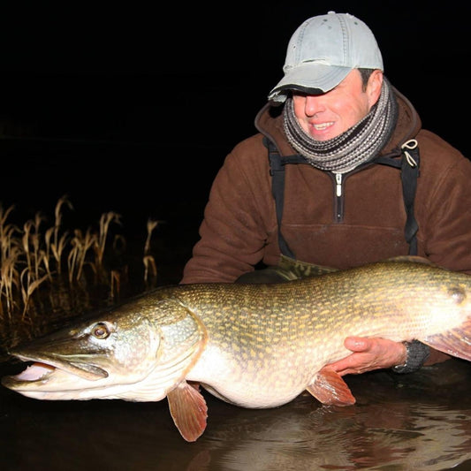 34lb CHEW FISH CAUGHT ON LUCEBAITS SARDINE FROM THE BANK.