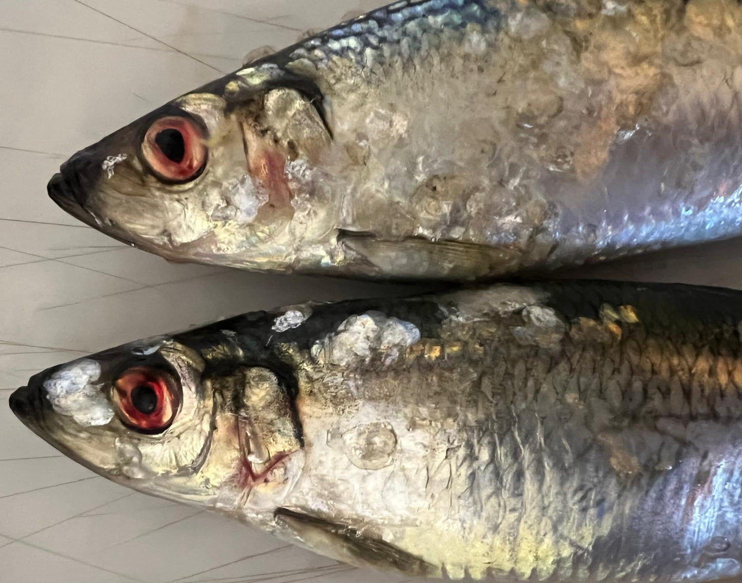 'SPECIAL' Norfolk Herring 3x pack