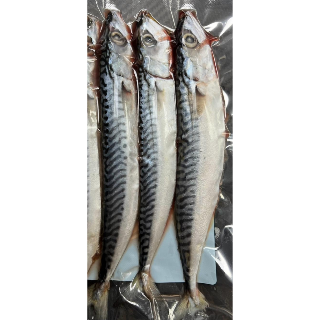 3x Fresh Small Mackerel (MAC3S)