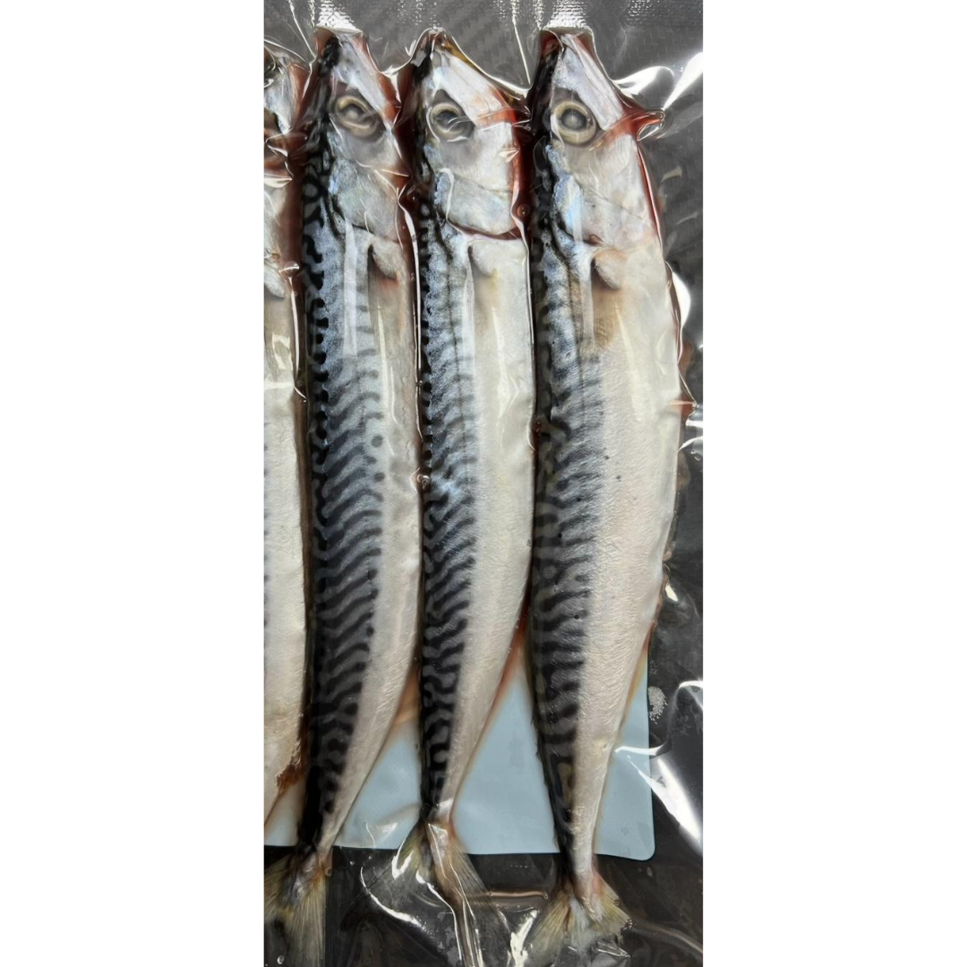 3x Fresh Small Mackerel (MAC3S)