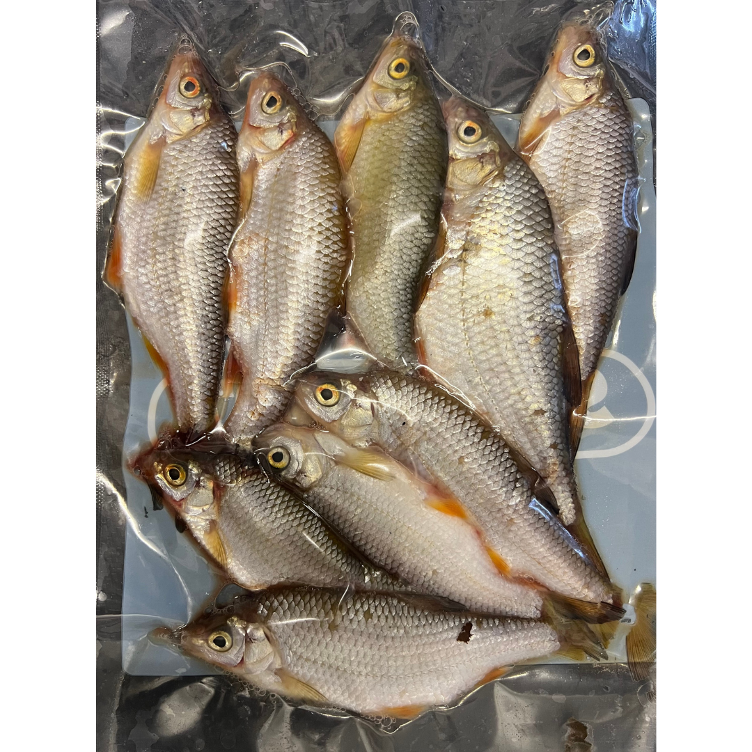 8x Small Coarse Fish (CRS8)