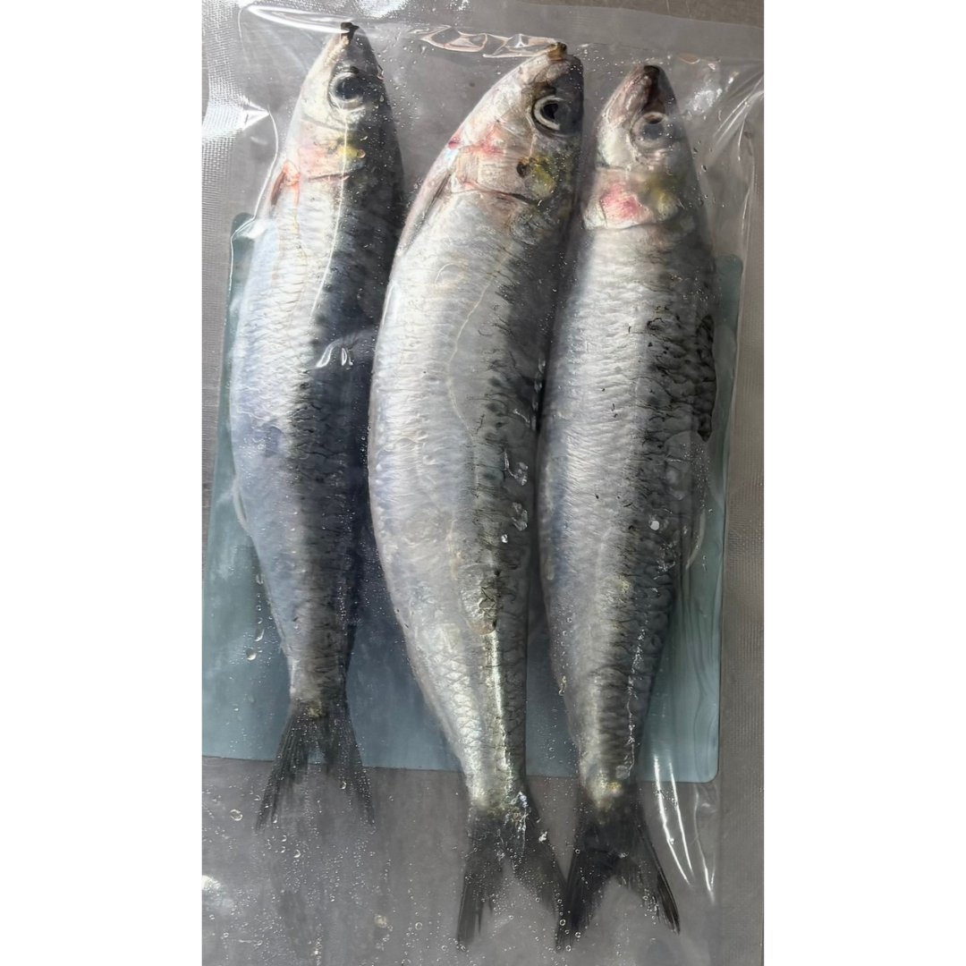 3x Fresh Cornwall Sardines (SAR3)